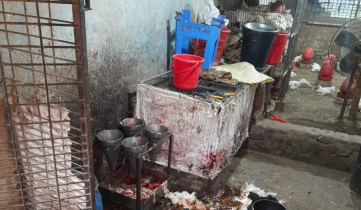 খোলা বাজারে মুরগি জবাই: জনস্বাস্থ্যের জন্য মারাত্মক হুমকি